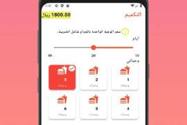 جده, الكمبيوتر والاتصالات, تطوير التطبيقات البرمجيات